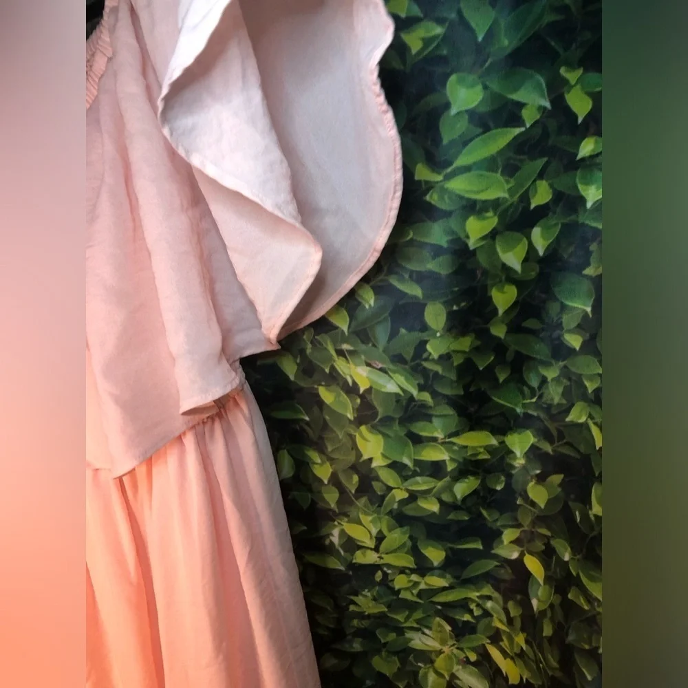 Elegant Pale Pink Maxi Dress - Picture 8 of 14